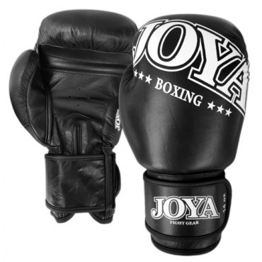 0070_boxing_gloves_boxing_model_leather_blk_copy